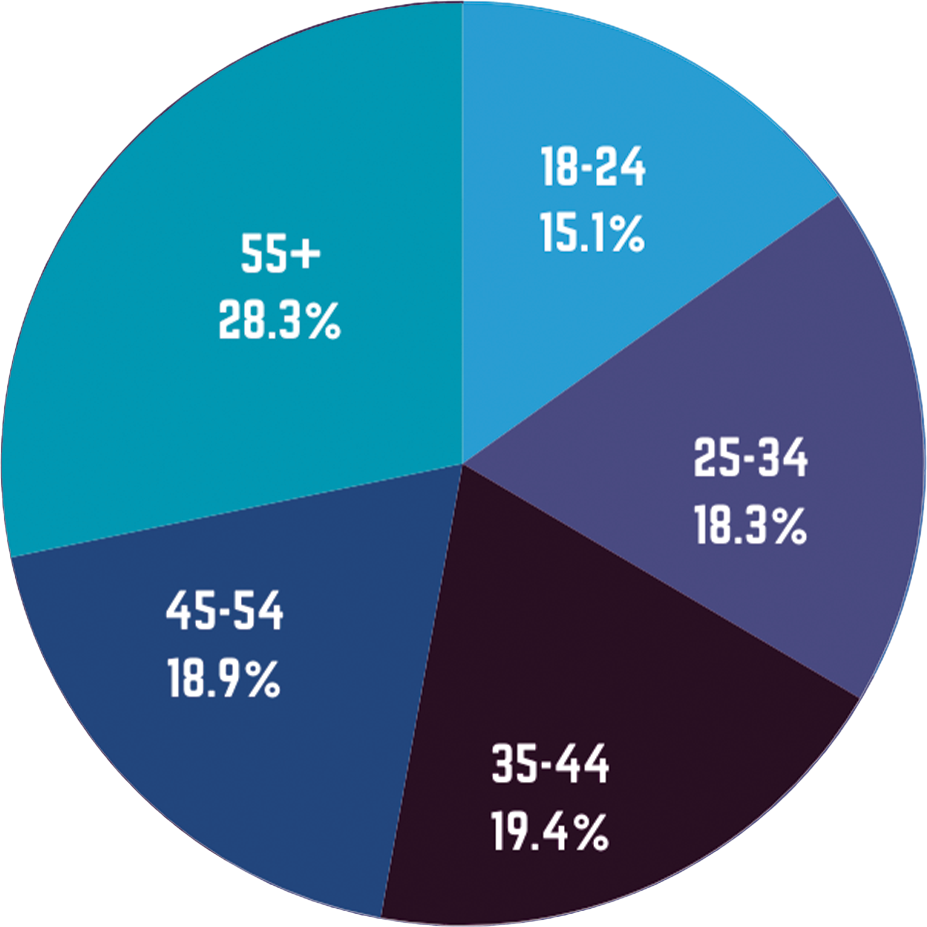 Visitors by Age