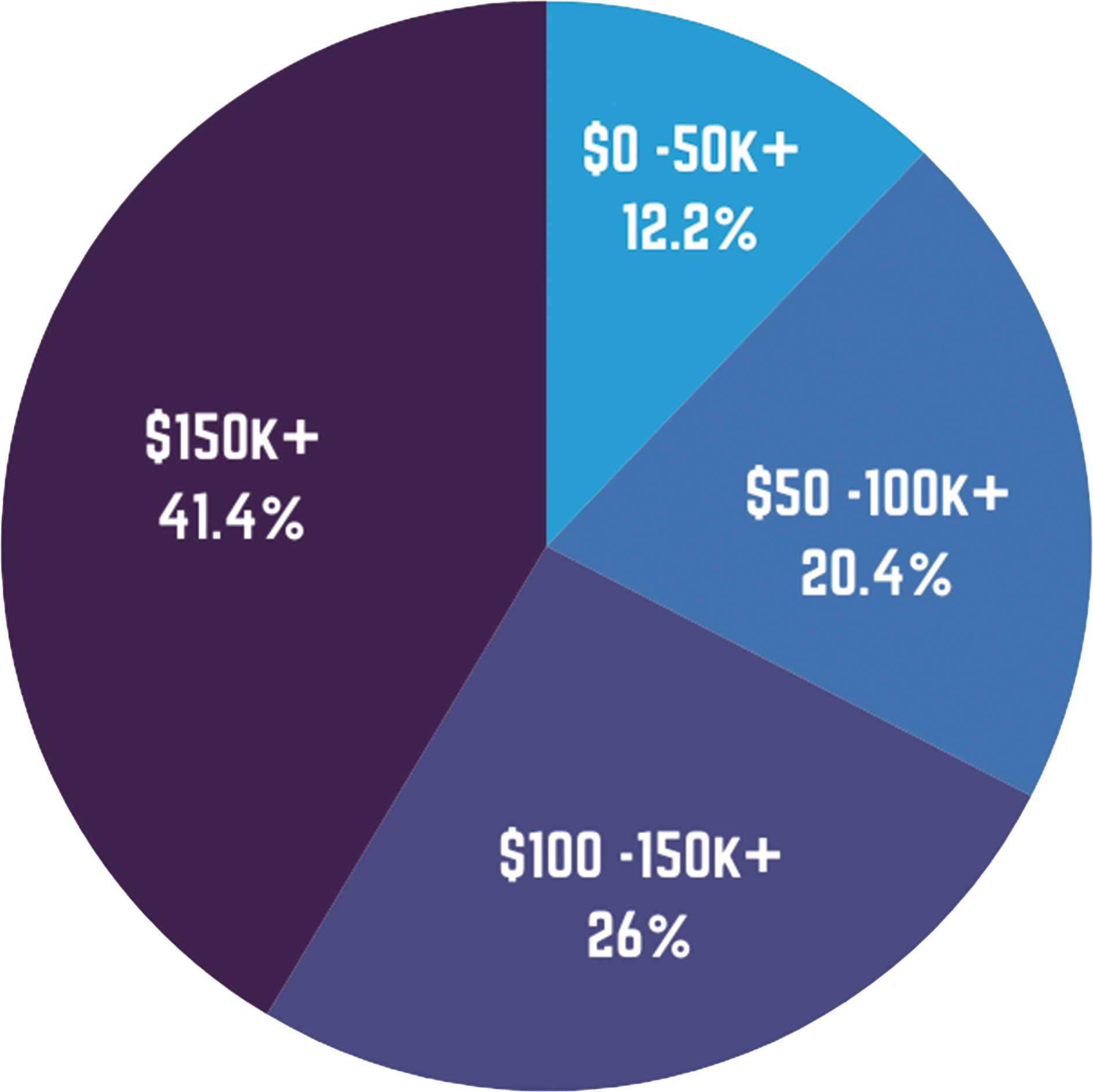 Visitors by Income