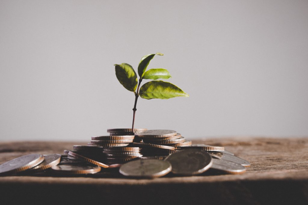 Raising Capital