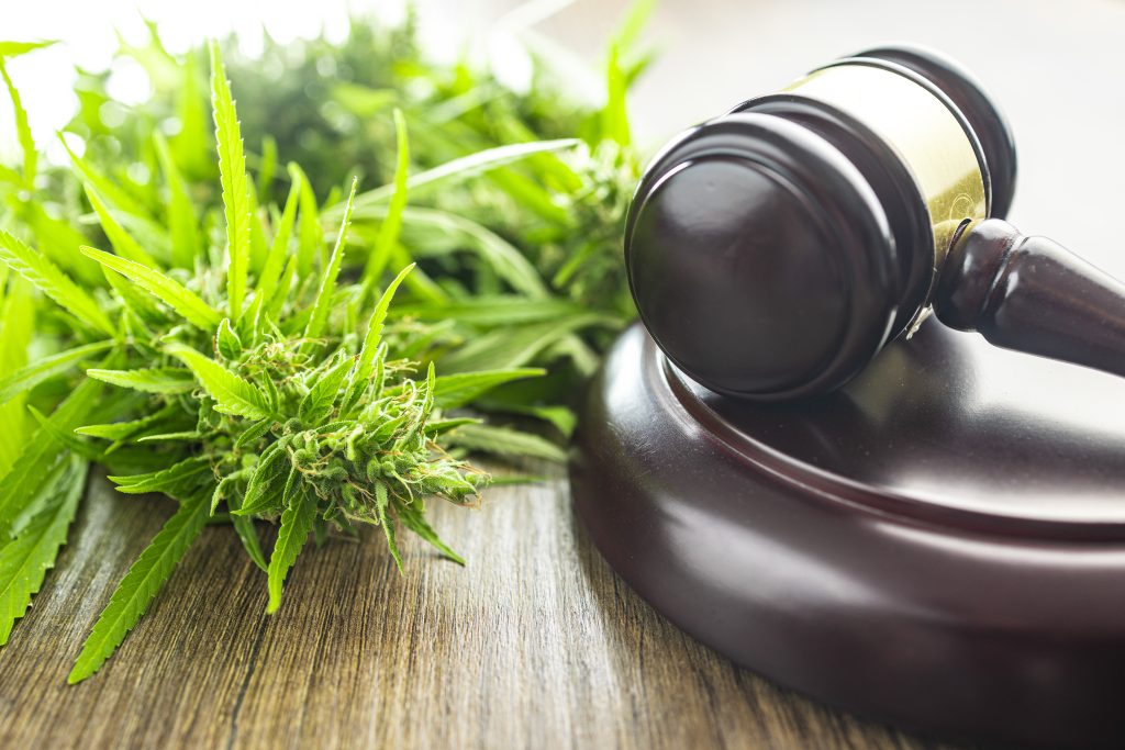 Cannabis 101