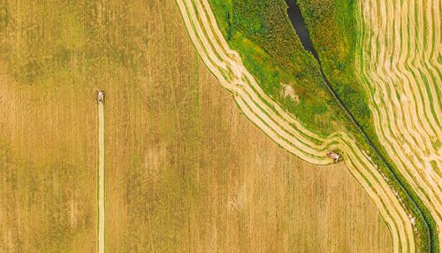 Investing in Farmland