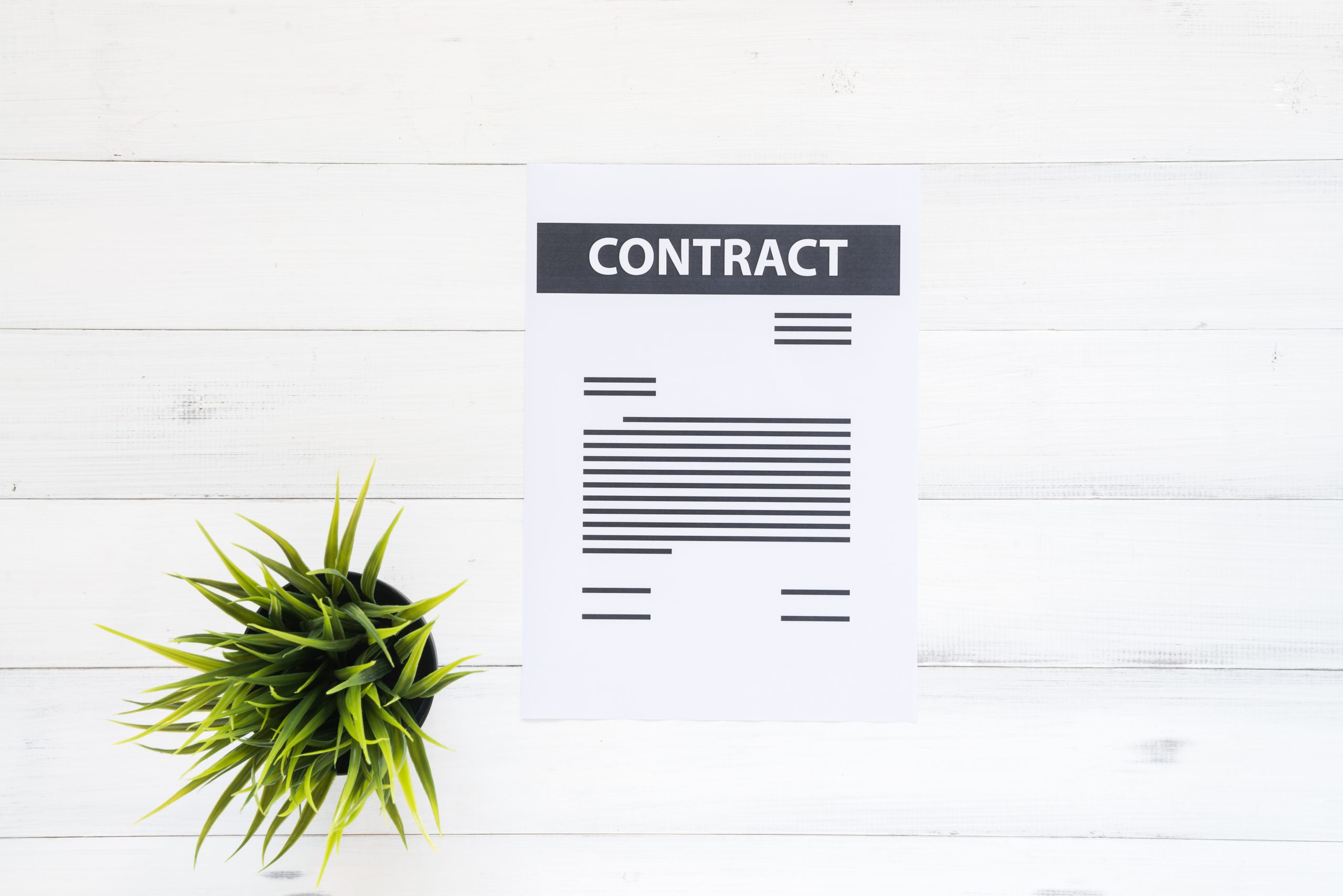 example contract sits on a white desk next to green plant